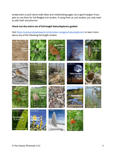 pictures of homeschool curriculum guides for sale